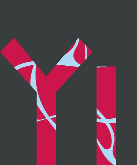Yi Xis original YI