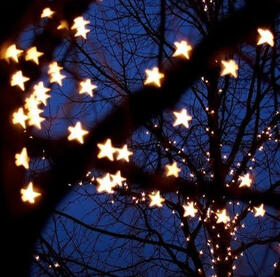 Star lights in tree at night