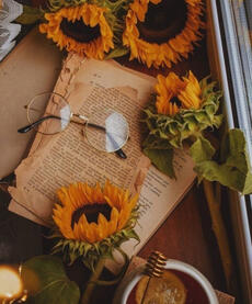 Cozy Aesthetic