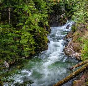 Water Stream